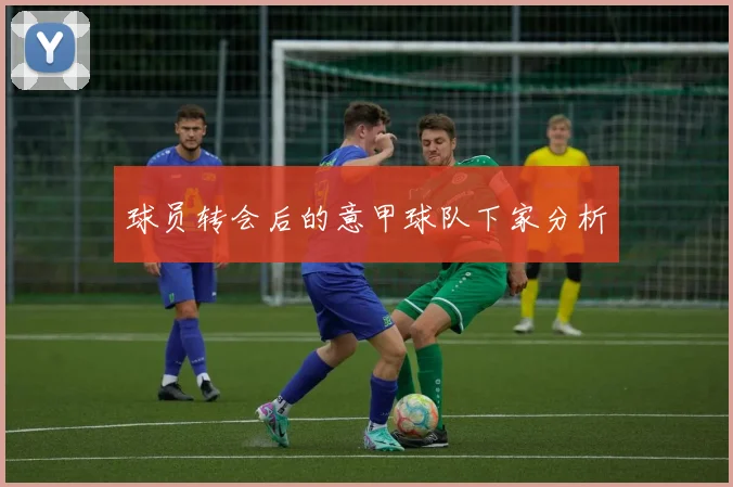 球员转会后的意甲球队下家分析